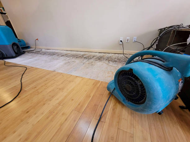 Professional Structural Drying technician working in Gillett, TX